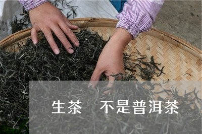 生茶 不是普洱茶/2023031743846